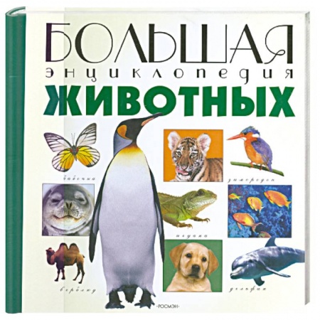 Книги, книга Большая энциклопедия Животных заказать