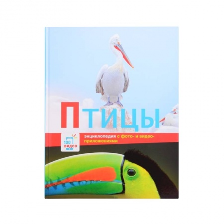 Животный и растительный мир, книга Птицы заказать