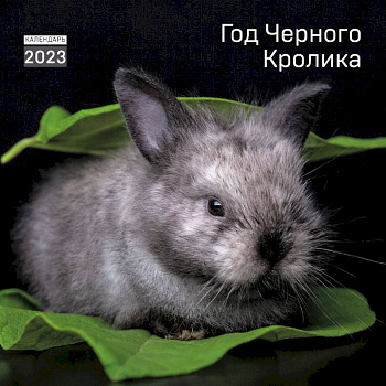 Год черного кролика. Календарь настенный на 2023 год (300х300 мм) Год черного кролика. Календарь настенный на 2023 год (300х300 мм)