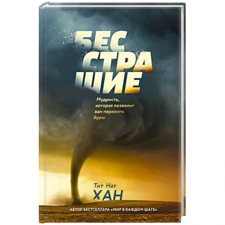 Другие духовные практики, книга Бесстрашие. Мудрость, которая позволит вам пережить бурю заказать