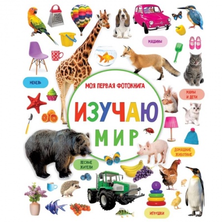 Человек. Земля. Вселенная, книга Изучаю мир. Моя первая фотокнига заказать