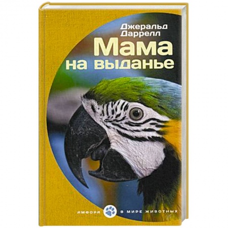 Книги, книга Мама на выданье заказать