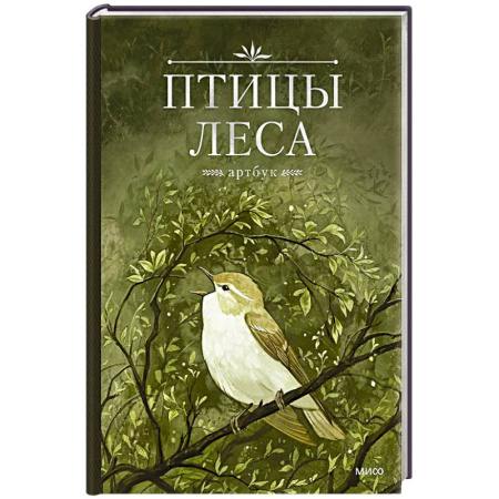 Животные. Насекомые. Птицы, книга Птицы леса. Артбук заказать