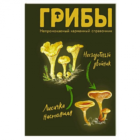 Грибы. Справочники. Определители, книга Грибы. Непромокаемый карманный справочник заказать