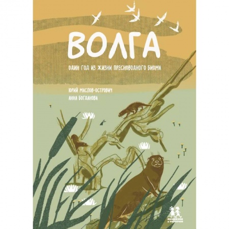 Познавательная литература, книга Волга. Один год из жизни пресноводного биома заказать