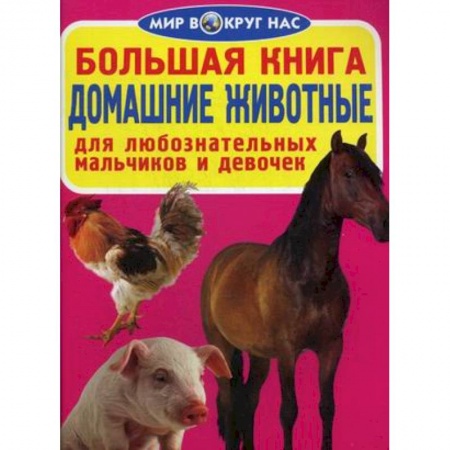 Животный и растительный мир, книга Большая книга. Домашние животные. Для любознательных мальчиков и девочек заказать
