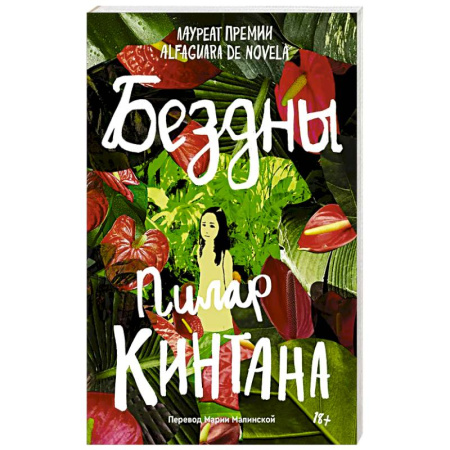 Зарубежная современная проза, книга Бездны заказать