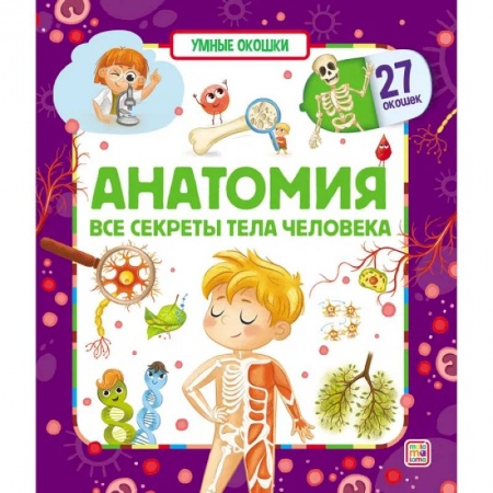 Прочие книжки-игрушки, книга Умные окошки. Анатомия заказать