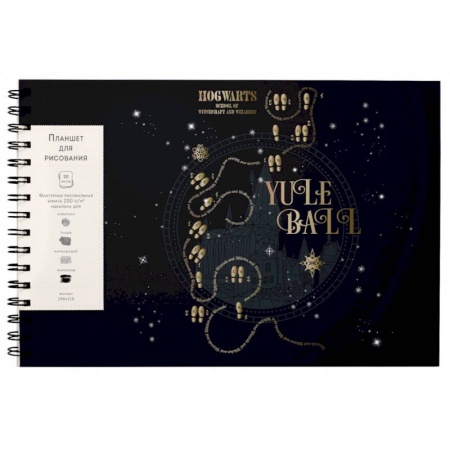 Альбомы, анкеты, дневнички, книга Скетчбук 20 листов (А4), Гарри Поттер. Хогвартс (неоновый) заказать