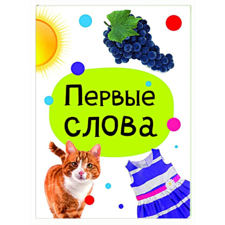 Знакомство с миром, развитие малыша, книга Первые слова заказать