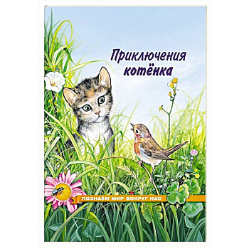 Приключения котенка