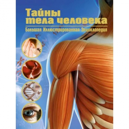 Человек. Земля. Вселенная, книга Тайны тела человека. Большая иллюстрированная энциклопедия заказать
