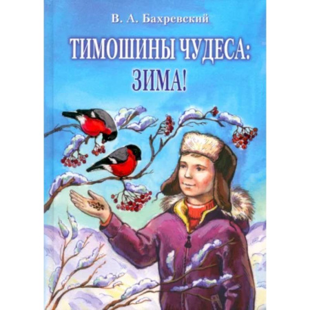 Повести и рассказы о детях, книга Тимошины чудеса. Зима! заказать