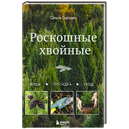 Общие работы по садоводству, книга Роскошные хвойные. Виды, посадка, уход заказать
