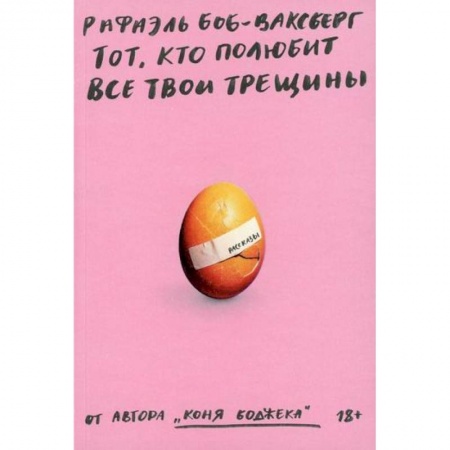 Зарубежная современная проза, книга Тот, кто полюбит все твои трещины заказать
