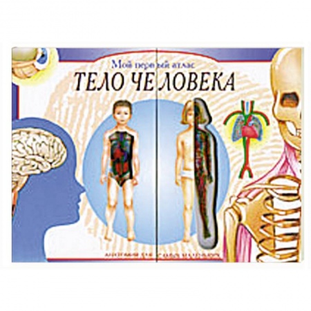 Книги, книга Мой первый атлас: Тело человека. Анатомия для самых маленьких заказать