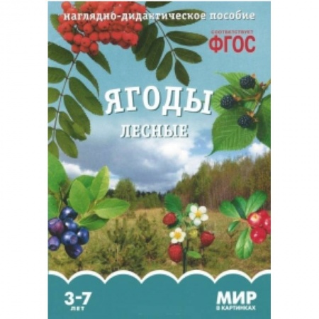 Книги, книга Ягоды лесные. Наглядно-дидактическое пособие. 3-7 лет заказать