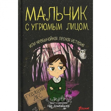 Сказки зарубежных писателей, книга Мальчик с угрюмым лицом, или необычайная лесная история заказать