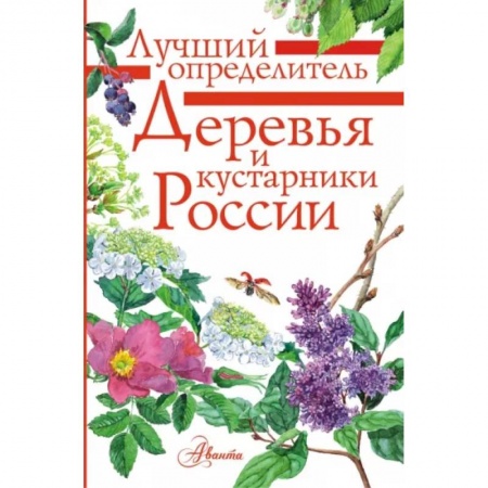 Животный и растительный мир, книга Деревья и кустарники России. Определитель заказать