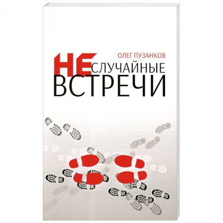 Духовная литература, книга Неслучайные встречи заказать