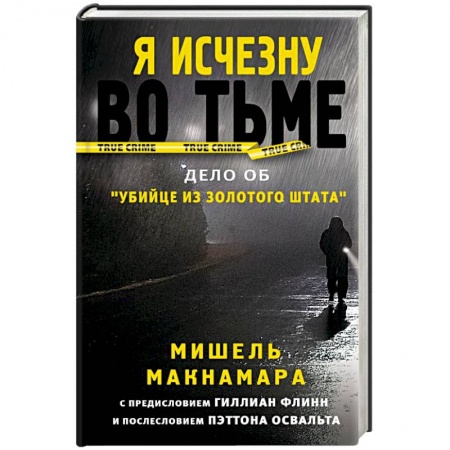 Зарубежный детектив, книга Я исчезну во тьме заказать