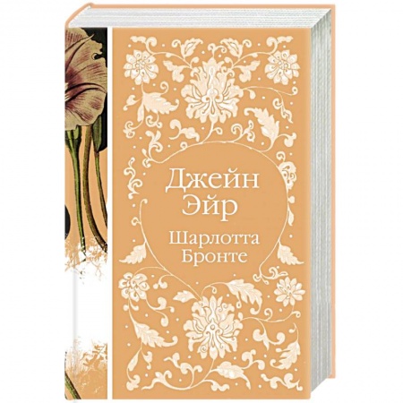 Зарубежная классика, книга Джейн Эйр заказать