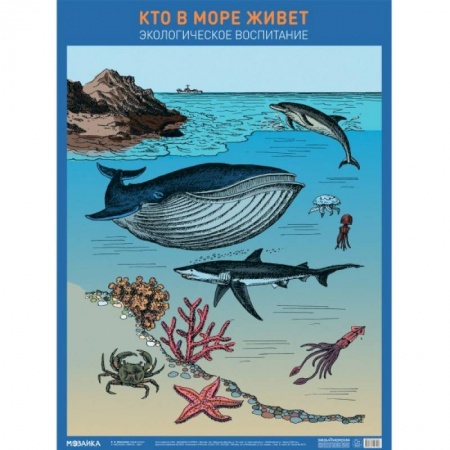 Животный и растительный мир, книга Кто в море живет заказать