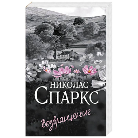 Зарубежный любовный роман, книга Возвращение заказать