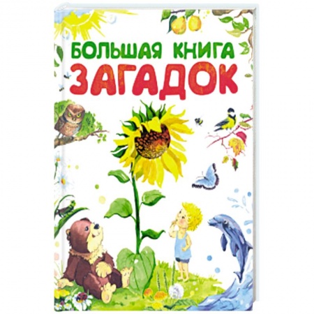 Стихи и загадки для малышей, книга Большая книга загадок заказать