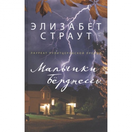 Зарубежная современная проза, книга Мальчики Бёрджессы заказать