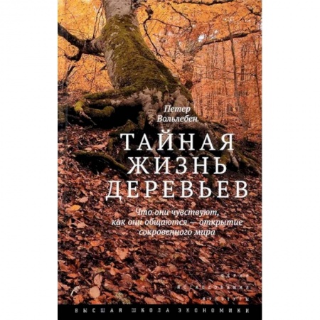 Ботаника, книга Тайная жизнь деревьев. Что они чувствуют, как они общаются - открытие сокровенного мира заказать