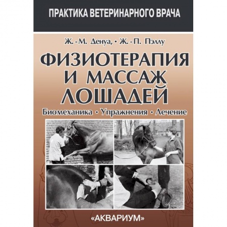Ветеринария, книга Физиотерапия и массаж лошадей. Биомеханика. Уражнения. Лечение заказать