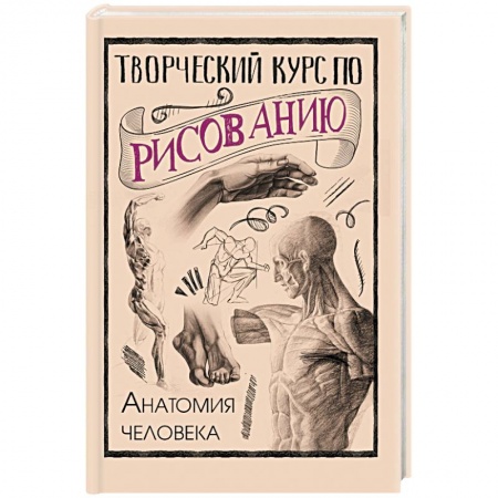 Книги, книга Творческий курс по рисованию. Анатомия человека заказать