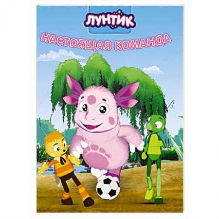Книги для дошкольников (4-6 лет), книга Лунтик. Настоящая команда заказать