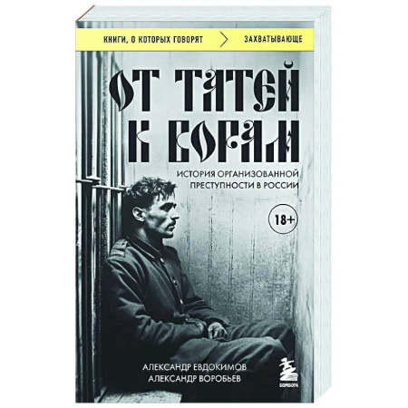 Криминал, книга От татей к ворам: история организованной преступности в России заказать