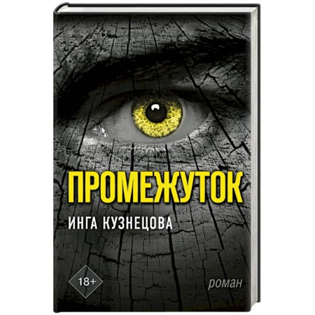 Мистика, ужасы, книга Промежуток заказать