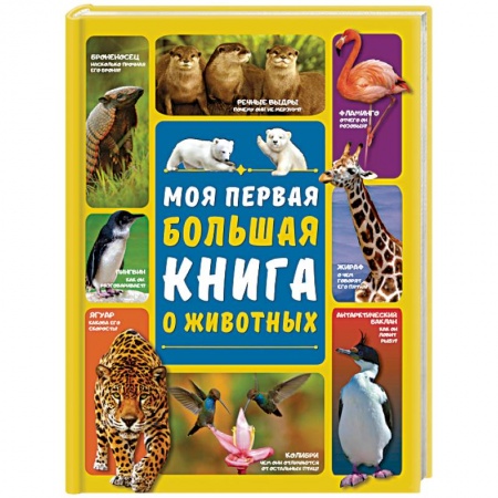 Животный и растительный мир, книга Моя первая большая книга о животных заказать
