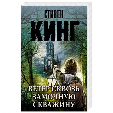 Книги, книга Ветер сквозь замочную скважину заказать
