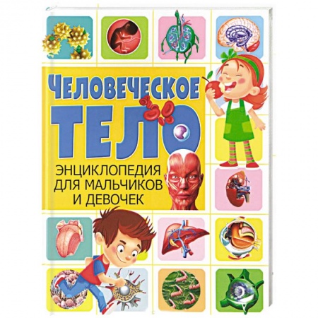 Человек. Земля. Вселенная, книга Человеческое тело. Энциклопедия для мальчиков и девочек заказать