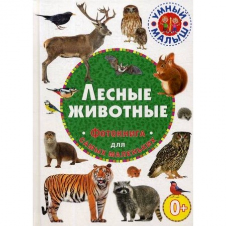 Животный и растительный мир, книга Лесные животные заказать