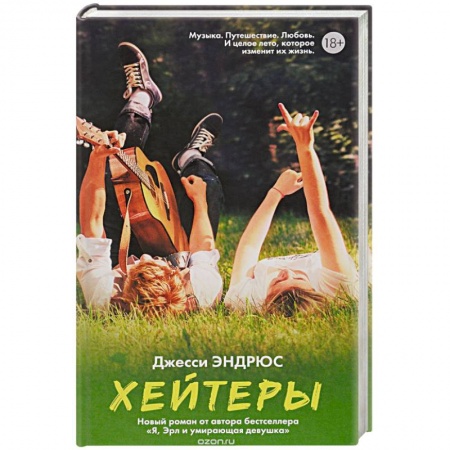 Книги, книга Хейтеры заказать