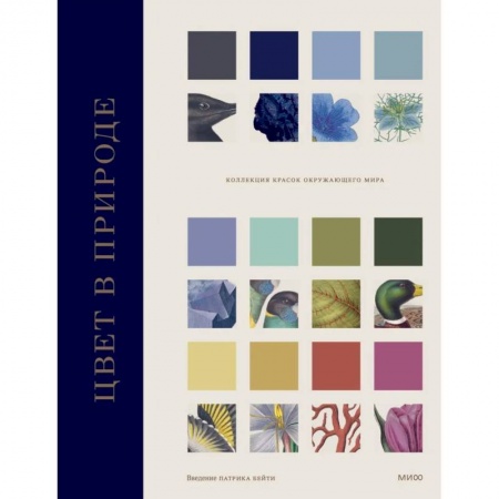 Живопись, книга Цвет в природе. Коллекция красок окружающего мира заказать