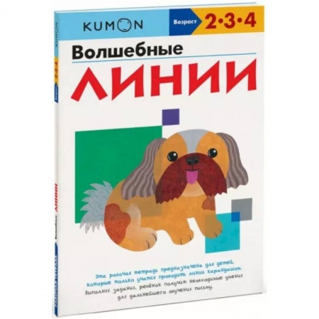Общая подготовка к школе, книга Волшебные линии заказать