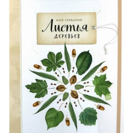 Животный и растительный мир, книга Мой гербарий. Листья деревьев заказать