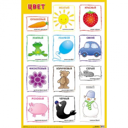 Знакомство с миром, развитие малыша, книга Цвет заказать