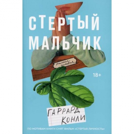 Зарубежная современная проза, книга Стертый мальчик заказать