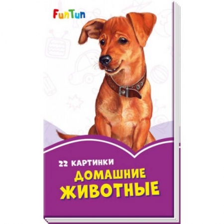 Книги с вырубкой, книга Домашние животные заказать