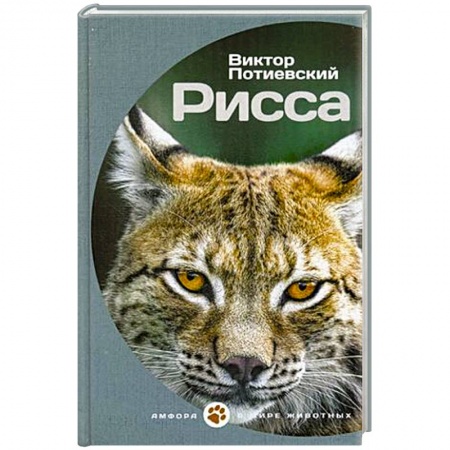 Книги, книга Рисса заказать