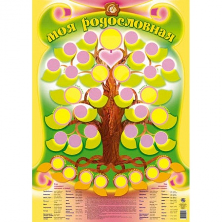 Другое, книга Плакат 'Моя родословная' заказать