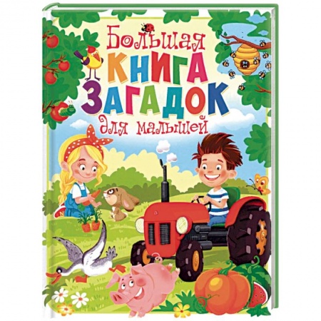 Стихи и загадки для малышей, книга Большая книга загадок для малышей заказать